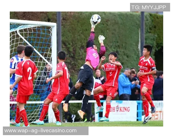 萨沙足球：探索足球背后的激情与梦想，开启属于你的绿茵之旅