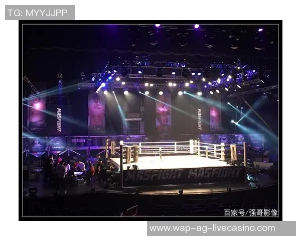 一龙与崔洪万巅峰对决拳坛传奇之战引发热议与期待